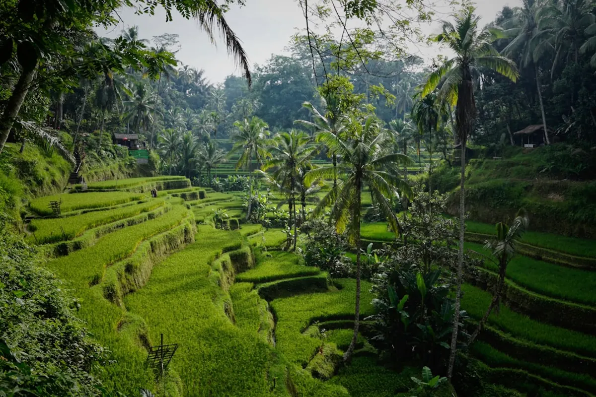 Sustainable practices on modern phinisi boats